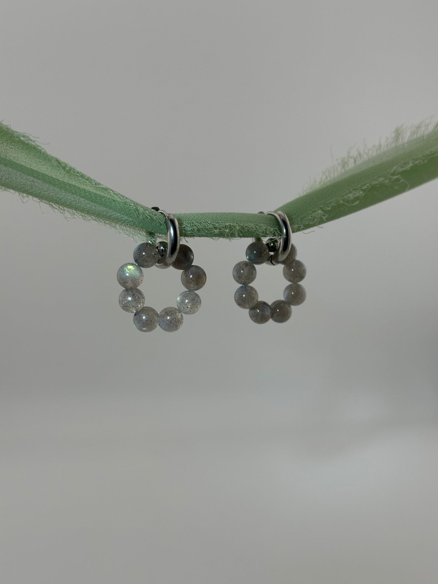 Labradorite Donut Earrings Pendant